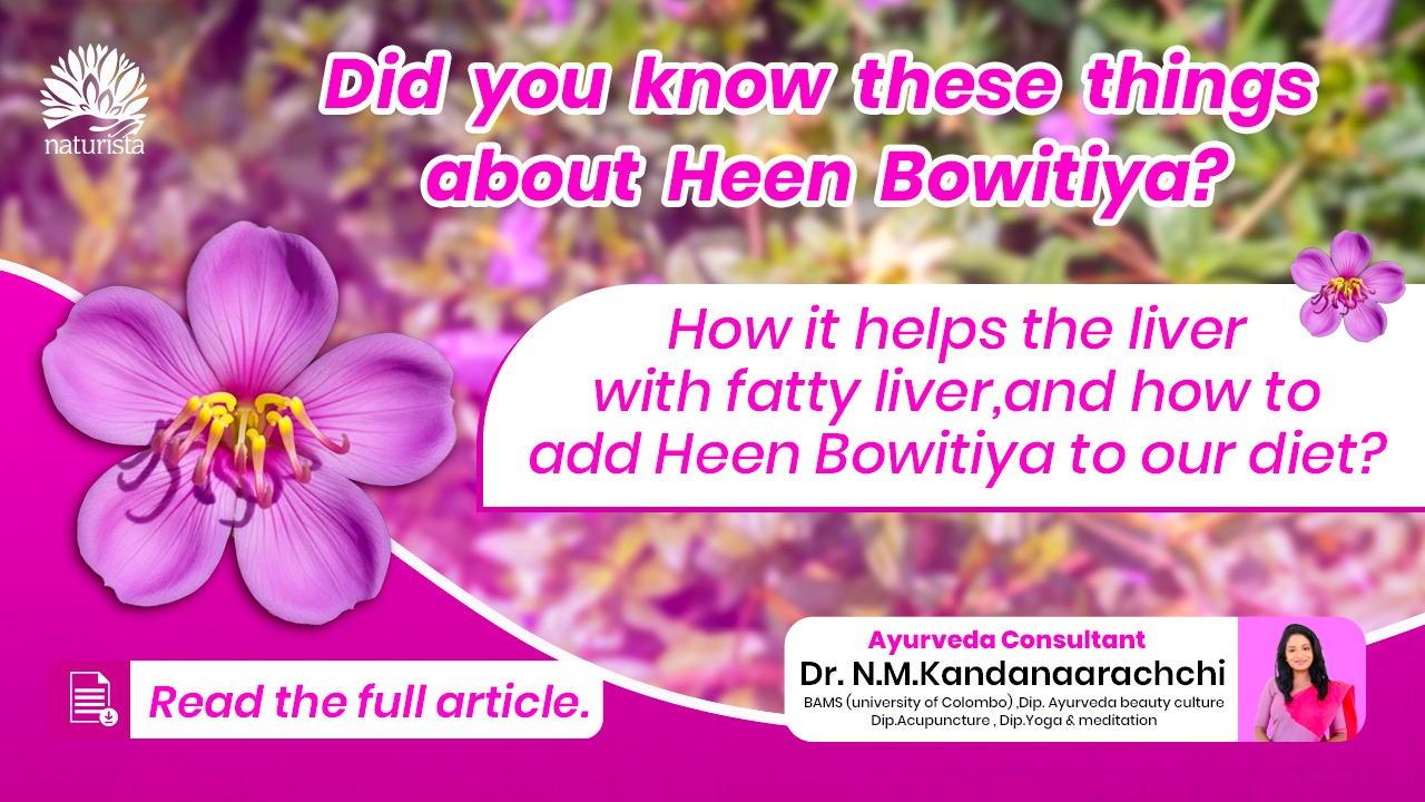 Heen Bovitiya (Osbeckia octandra)