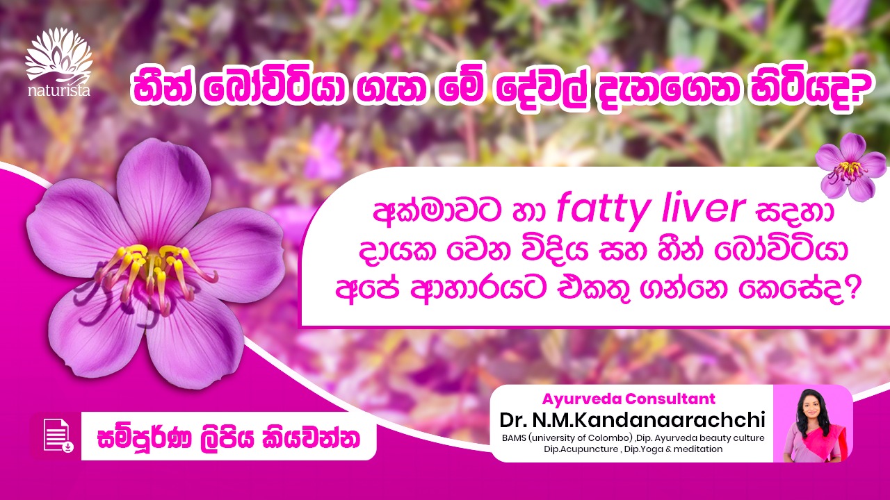 හීන් බෝවිටියා (Osbeckia octandra)
