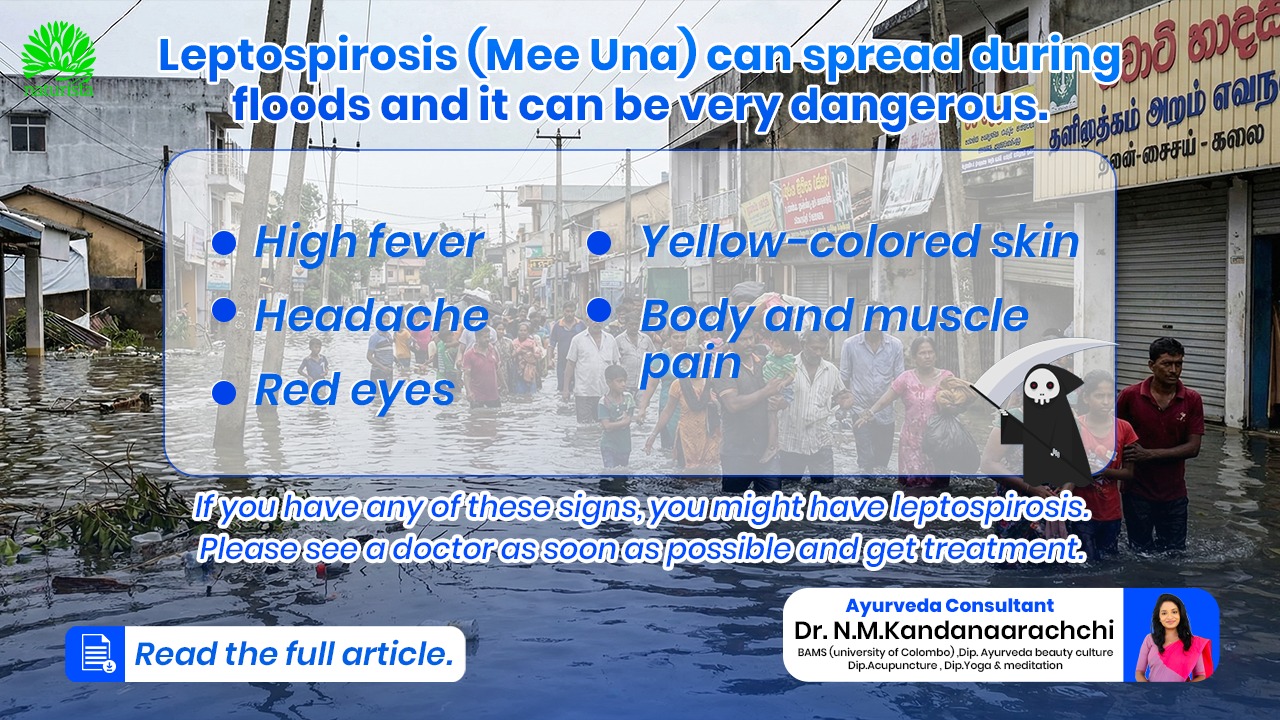 Leptospirosis (Rat Fever) Risk During Floods