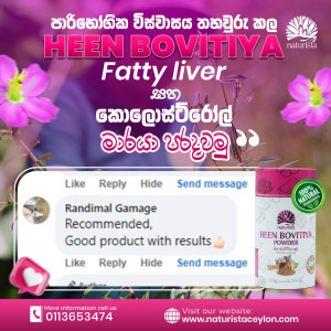 Customer Review