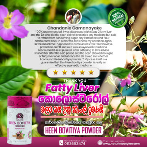 Customer Review