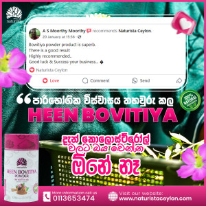 Customer Review